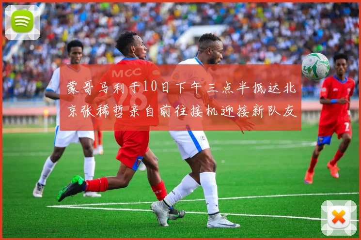 蒙哥马利于10日下午三点半抵达北京张稀哲亲自前往接机迎接新队友